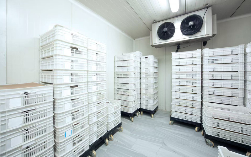 Eficiência de recursos e gestão ambiental