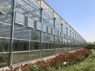 Nova atualização dos ventiladores centrífugos de entrada dupla SunxFan: A tecnologia de conversão de frequência EC ajuda as estufas de cultivo sem solo a obter ventilação eficiente e controle de temperatura