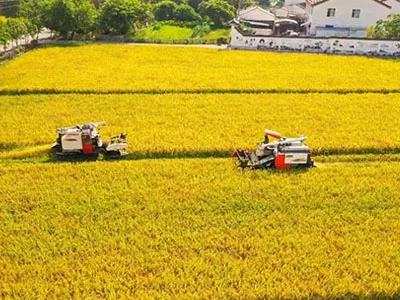 Da colheita de algodão à colheita, ventiladores centrífugos de entrada dupla de frequência variável SunxFan EC