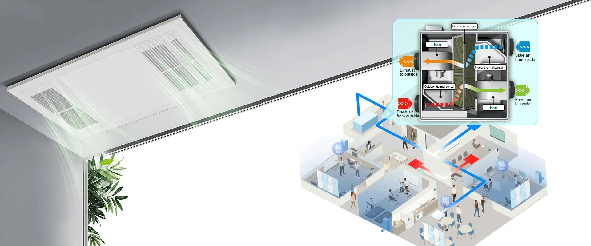 O algoritmo respia, o vento evolui.